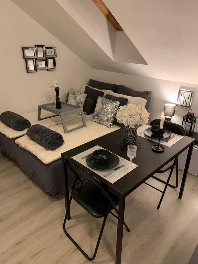 Apartment Mansarda マリボル エクステリア 写真