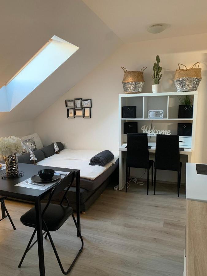 Apartment Mansarda マリボル エクステリア 写真